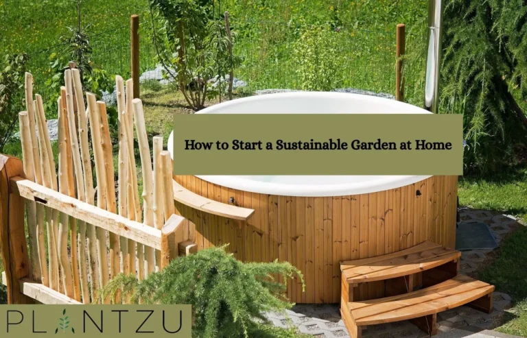 How to Start a Sustainable Garden at Home