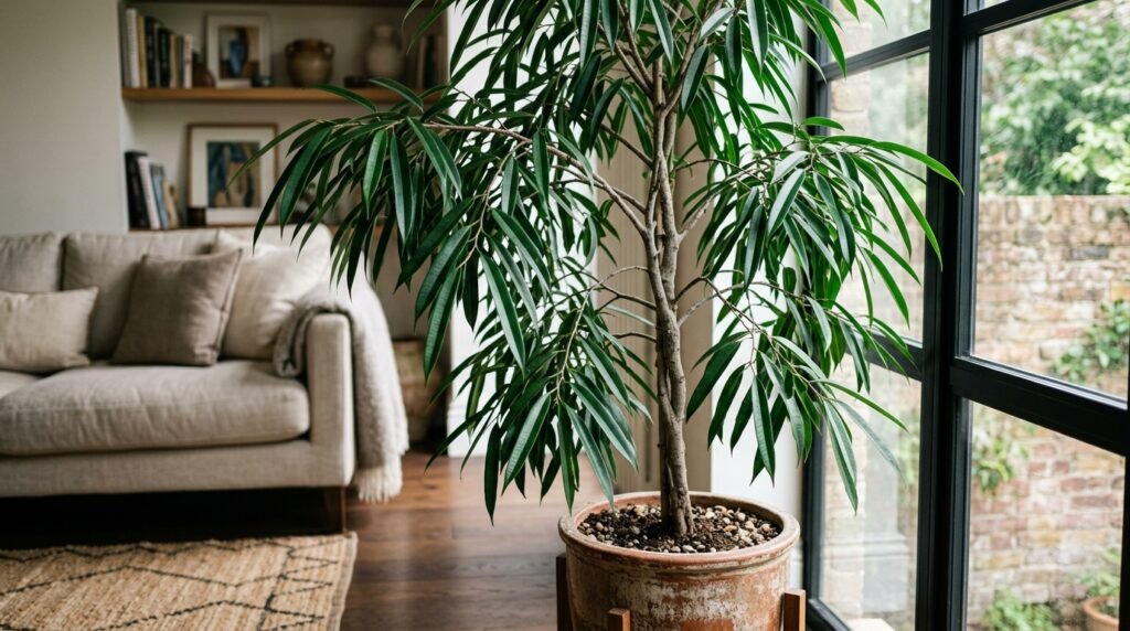 25 Indoor Plants That Will Instantly Brighten Your Home Rubber Fig Tree image 202607051210 1