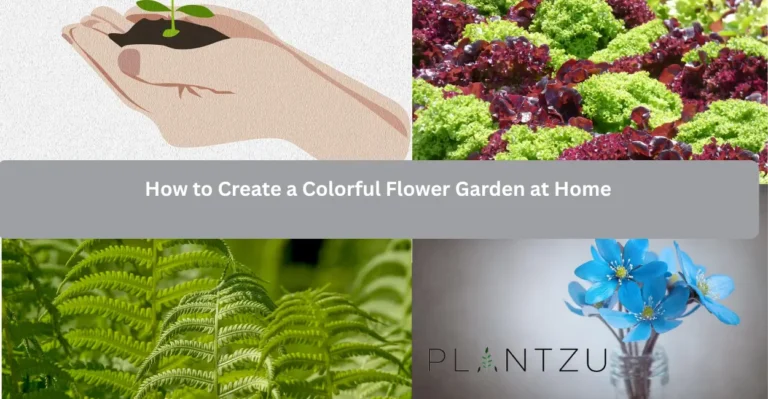 How to Create a Colorful Flower Garden at Home