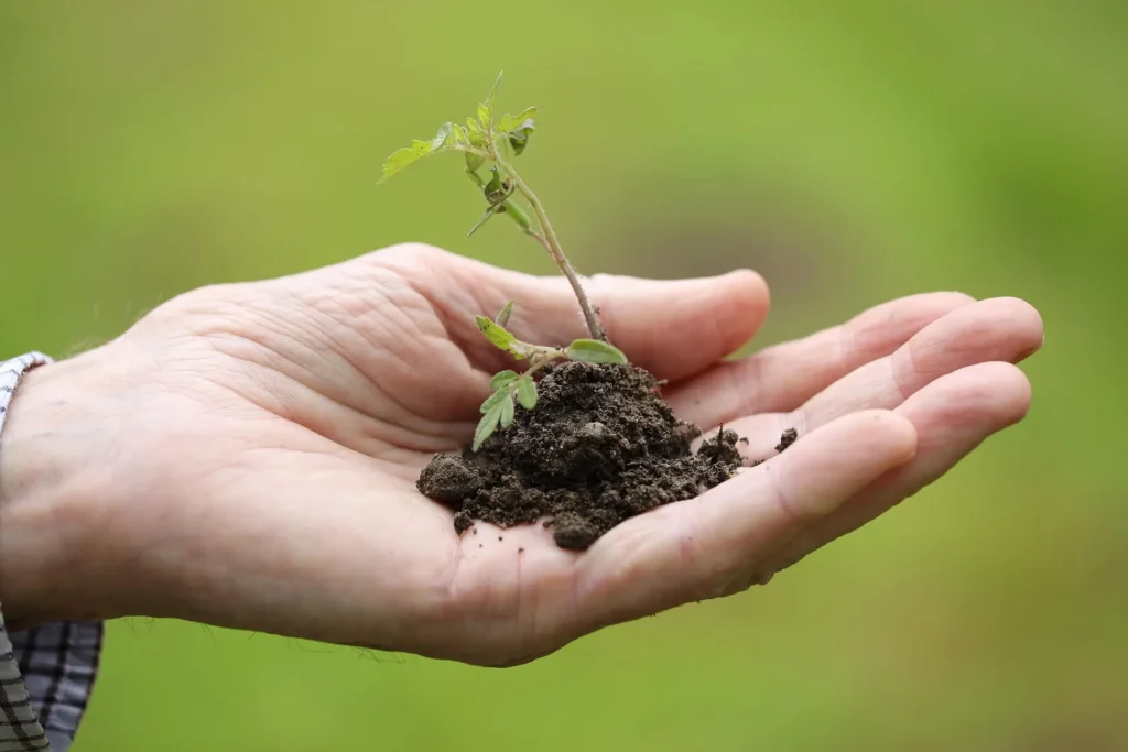 Spring Gardening Tips
