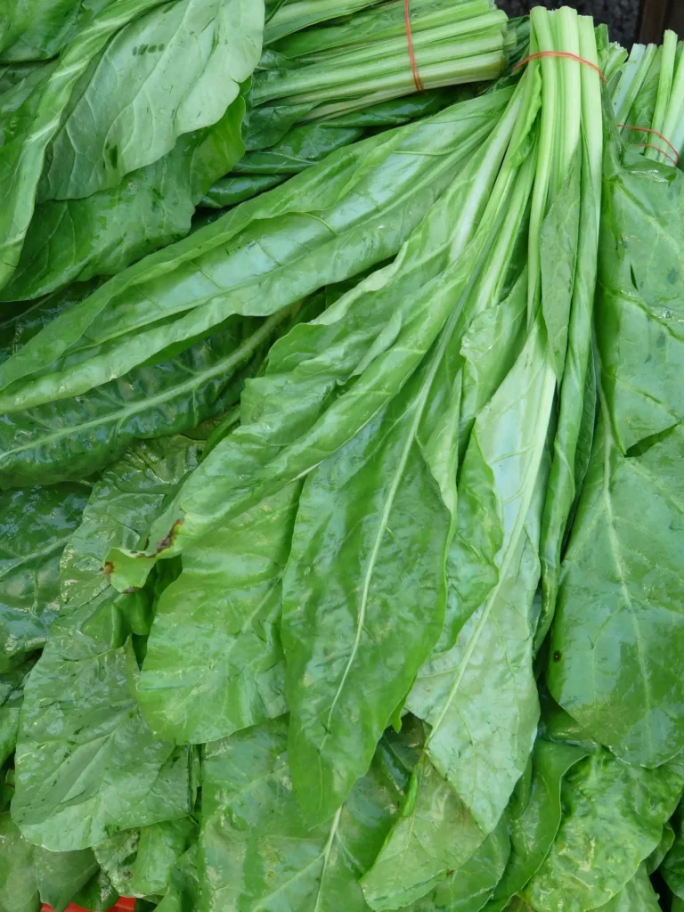 hans real spinach 73911 1920 1