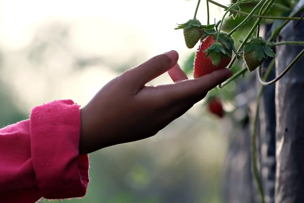Spring Gardening Tips
