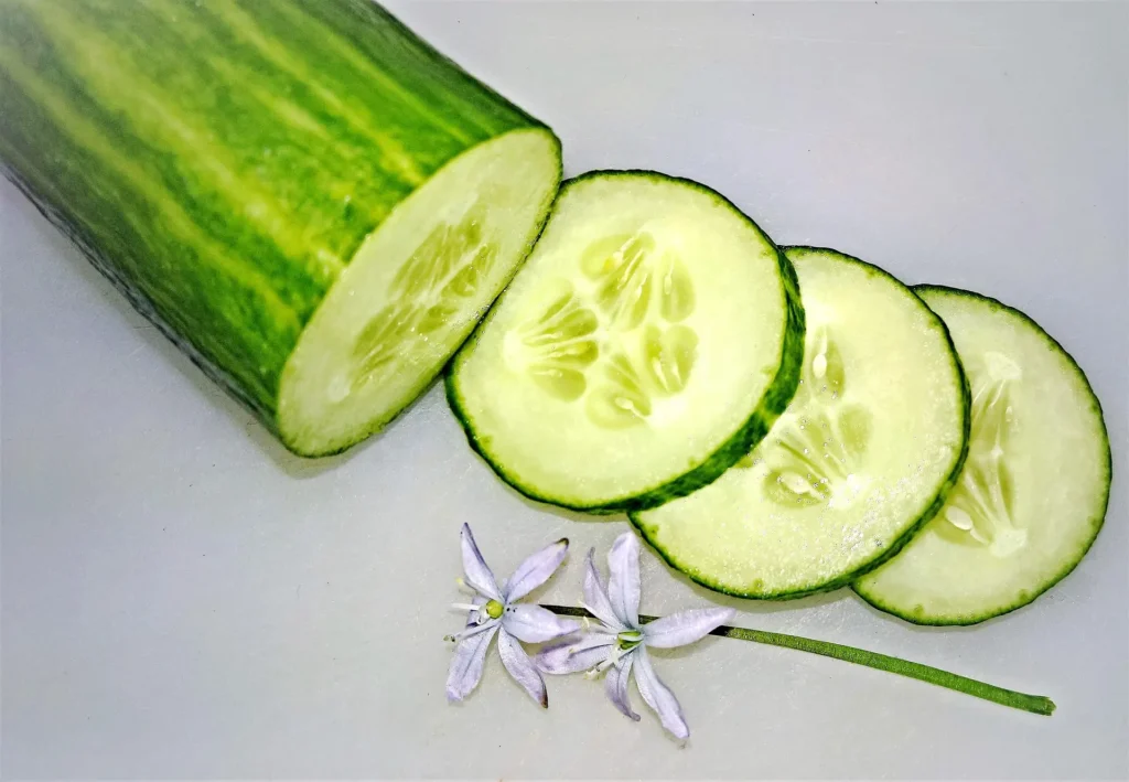 monika1607 cucumber 5089995 1920