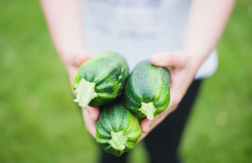 pexels zucchinis 1869941 1920