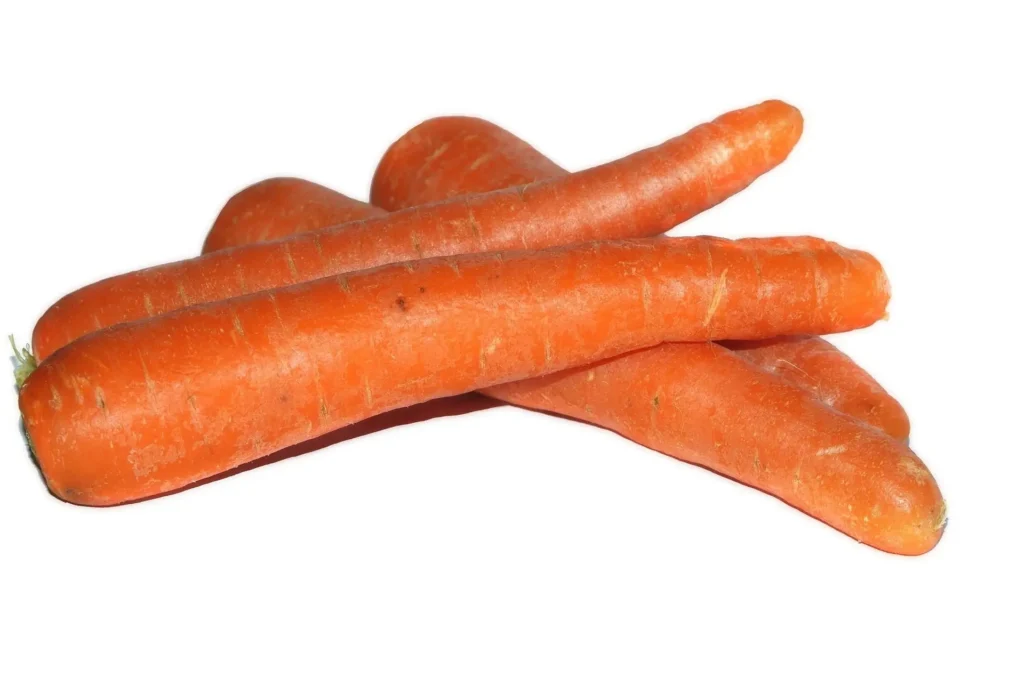 skibka carrot 1694087 1920