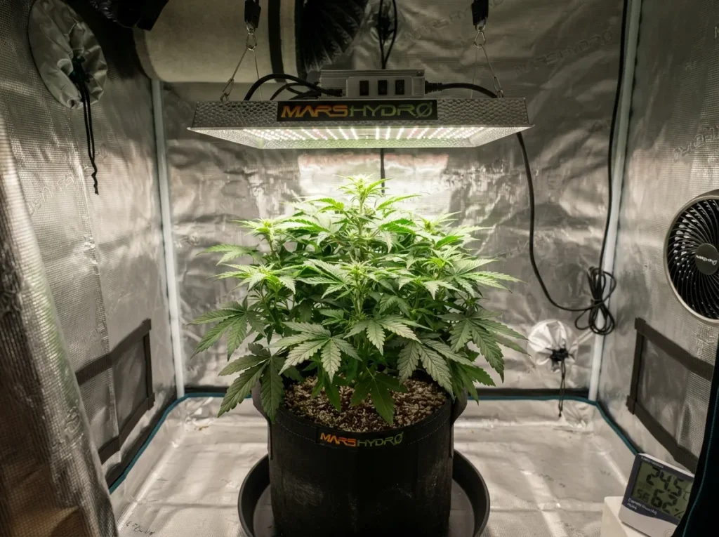 Mars Hydro TS 600