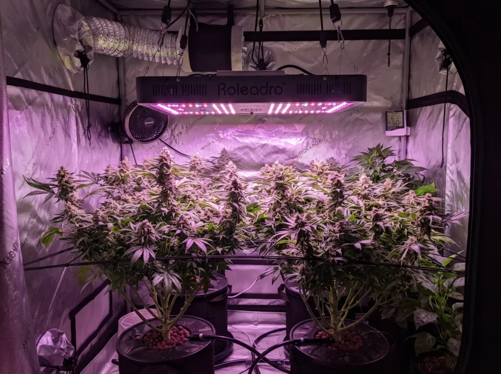Roleadro LED Grow Light Panel
